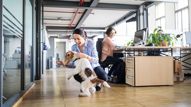 How to boost employee happiness: a happy workplace sees less turnover